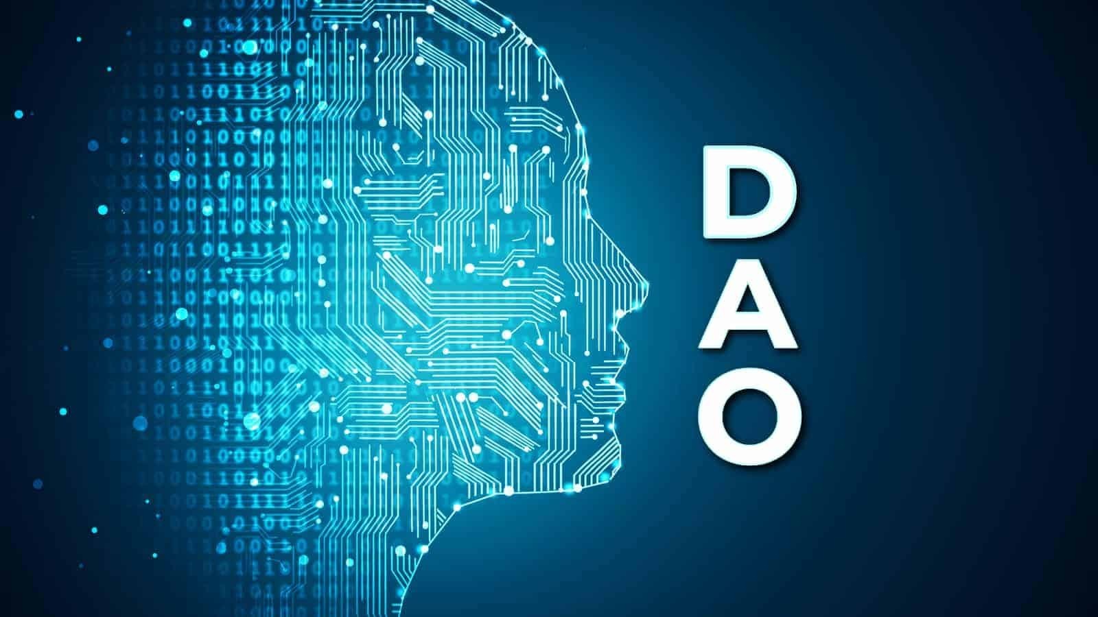 What Are DAOs?