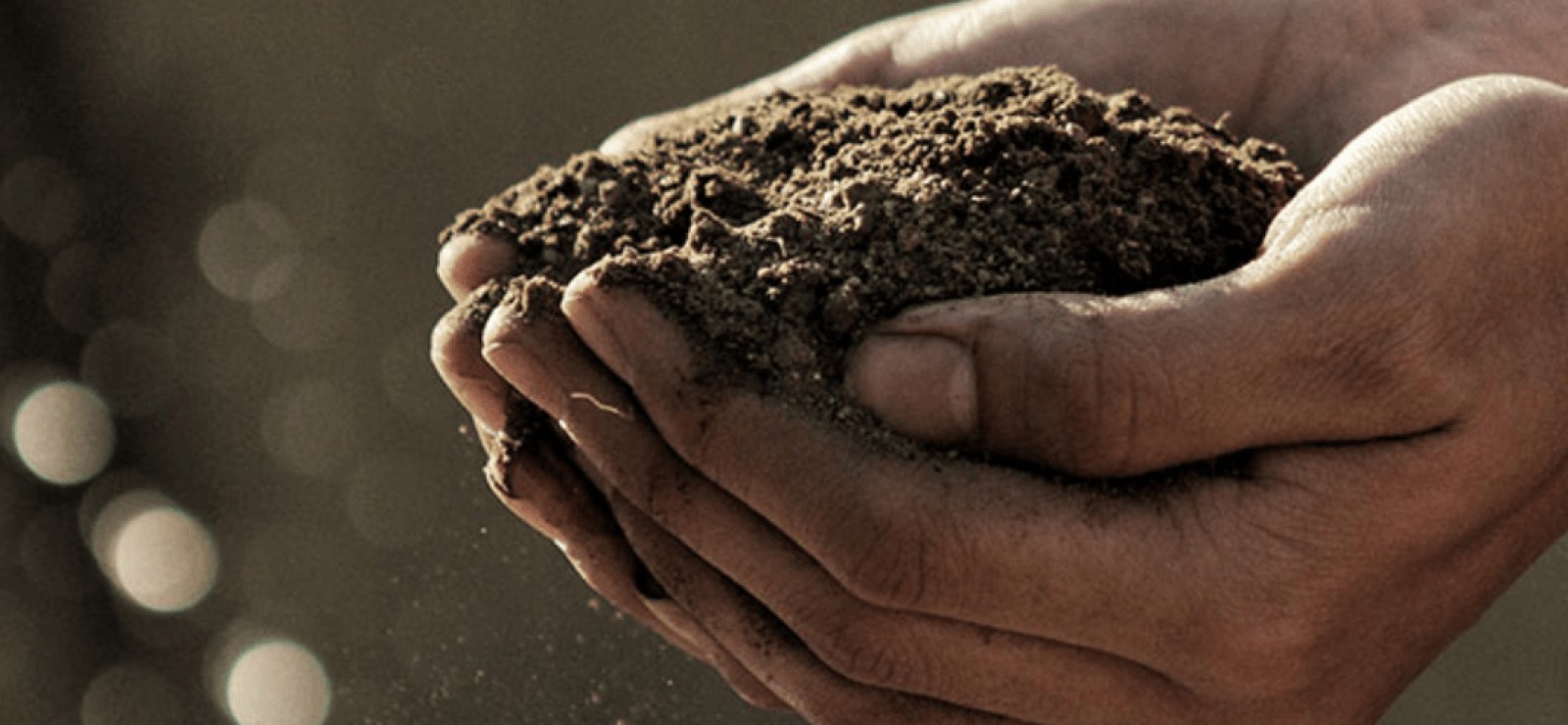 AGRICULTURE PROJECTS AND CROWDFUNDING