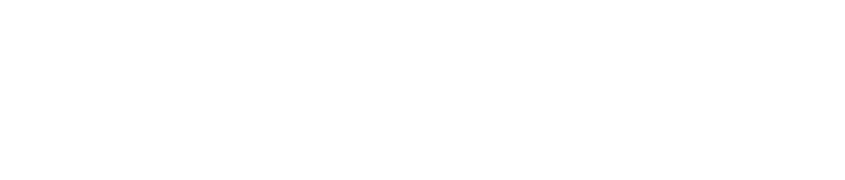 CapitalEngine_footer_logo